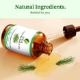 thumbnail image 6 of SVA Pine Needle Essential Oil – 4 Fl Oz – 100% Natural Pine Needle Oil - for Diffuser, Hair Care, Face, Skin Care, Aromatherapy, Scalp and Body Massage, Soap and Candle Making – with Dropper, 6 of 8