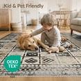 thumbnail image 4 of ODIKA Throw Checkered Large Boho Motif Distressed Couch Door Border for Bedroom, Bedside, Nursery, Pet Friendly & Kids Safe, 4 of 7