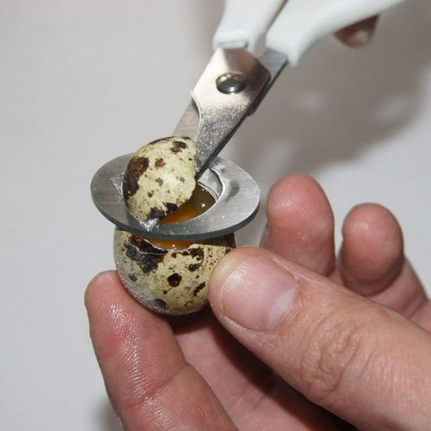 Quail Egg Scissors Cracker Opener Cigar Cutter Stainless Steel