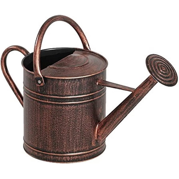Bilot 84872 2 Gallon Brushed Bronze Watering Can
