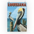 thumbnail image 3 of Louisiana, Brown Pelicans (16x24 Giclee Gallery Art Print, Vivid Textured Wall Decor), 3 of 3