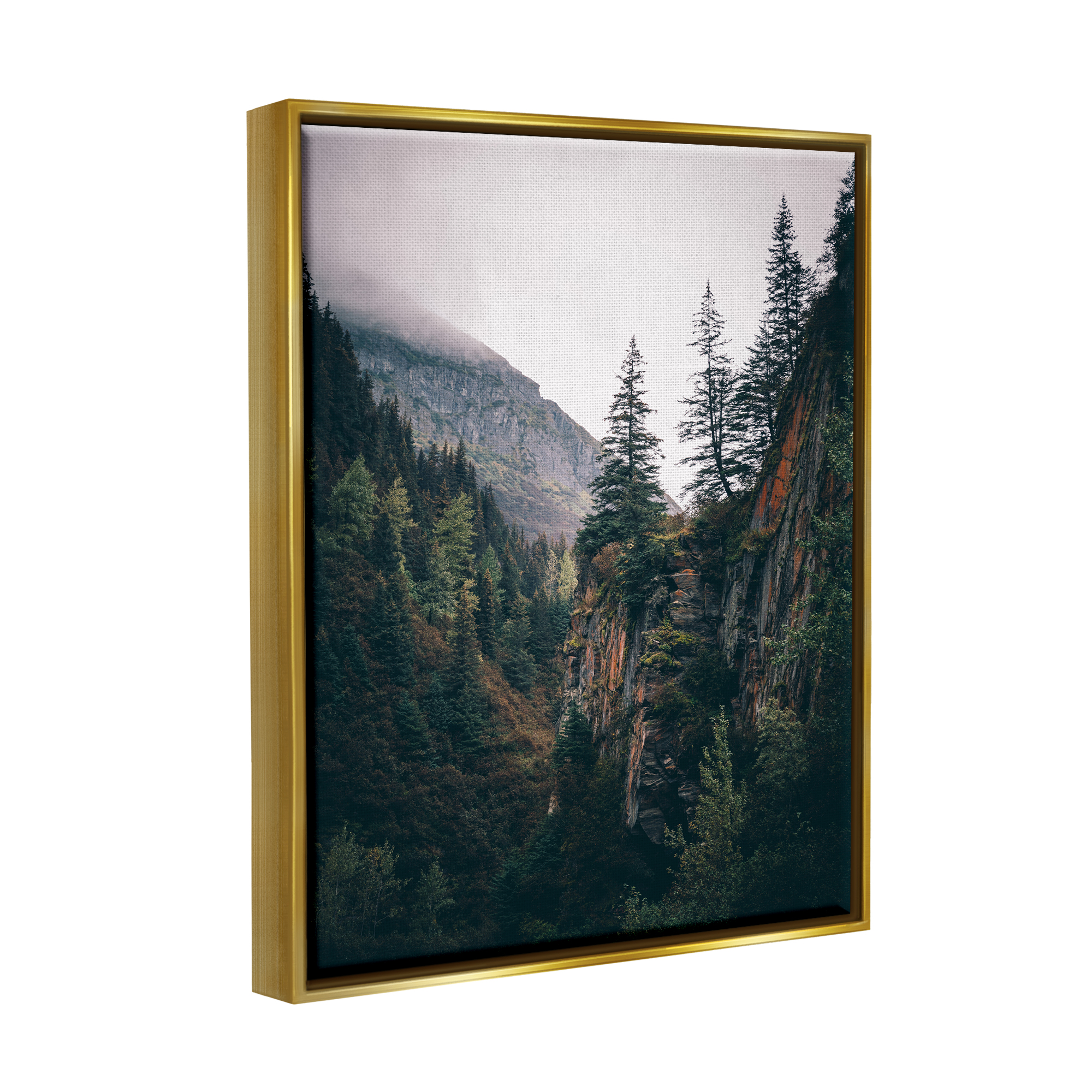 Stupell Industries Rustic Mountain Landscape Landscape Photography Gold Floater Framed Canvas Art Print Wall Art, 25 x 31