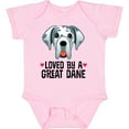 thumbnail image 3 of Inktastic Great Dane Dog Lover Boys or Girls Baby Bodysuit, 3 of 5