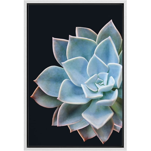 wall26 Framed Canvas Print Wall Art Close Up Vibrant Blue Rose Succulent Cactus Nature Wilderness Photography Realism Floral Botanical Multicolor for Living Room, Bedroom, Office - 16"x24"