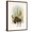 Brown Frame, variant on Art.com Forest Moose Art Print by Ryan Fowler, 12" x 16"