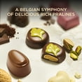 thumbnail image 5 of Godiva Gold 15pc Milk Chocolate Gift Box – Belgian pralines, Ganaches & Nuts – Kosher Luxury Gift for Holidays, 5 of 5
