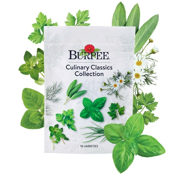 Burpee Culinary Classics 10 Herb Plant Seed Packets, Annual and Perennial Herbs, Full Sun