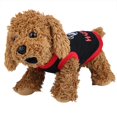 thumbnail image 3 of Chaleco para mascotas de Halloween, disfraz de cachorro de perro con estampado de dibujos animados, ropa suave y cómoda (negro, XS), 3 of 12