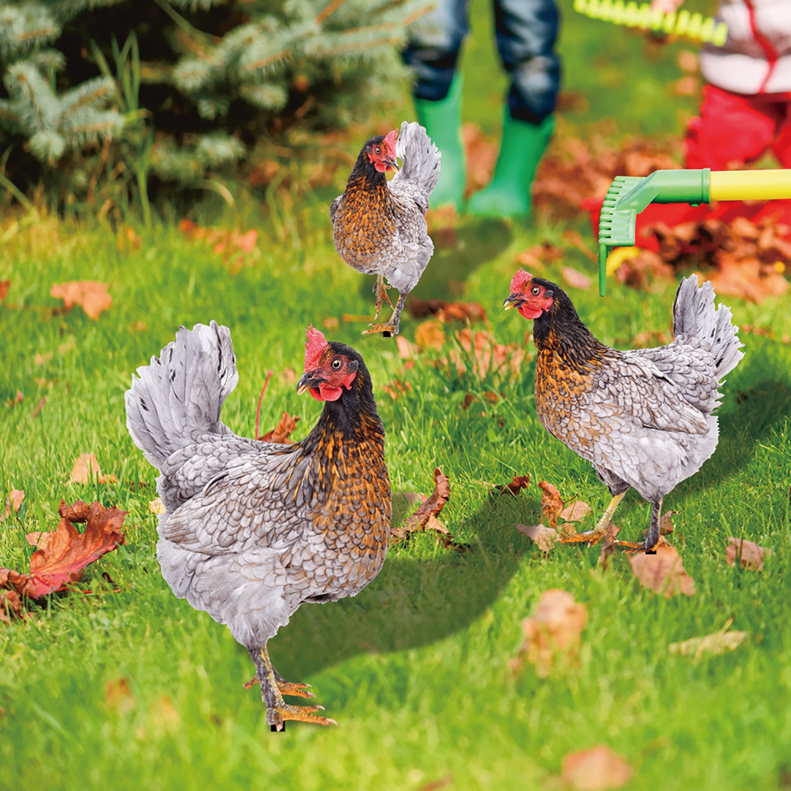 ZPAQI Chicken Yard Sign Decorative Garden Stakes Outdoor Sculpture Outdoor Ornaments