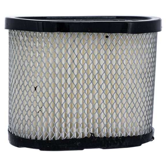 SureFit Air Cleaner Filter Cartridge for Briggs & Stratton 697029 Mower Engines