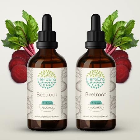 Beetroot Alcohol Herbal Extract Tincture  Super-Concentrated Organic Beetroot (Beta Vulgaris) Dried Root 2x4 oz