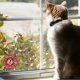 thumbnail image 2 of 50 pegatinas Pet Rescue Alert para emergencias en caso de incendio, 2 of 2