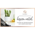 thumbnail image 6 of Bloem Powder Coated Round Polypropylene, Plastic and Resin Planter & Stand Set, 6 of 10