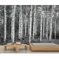 thumbnail image 2 of Birch Tree Wall Murals For Bedroom - Forest Murals, Black White Plant Wall Mural For TV Background, Birch Tree Large Mural 98.4"W x 68.9"H (Not Peel and Stick), 2 of 6