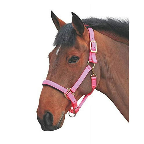 Shires Topaz Leather Breakaway Nylon Halter Pink Full