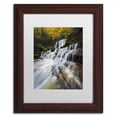 thumbnail image 2 of Trademark Fine Art "Symphony of Autumn" Canvas Art by Mathieu Rivrin, White Matte, Wood Frame, 2 of 4