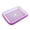 purple long eye, variant on 1Pack Sprouts Growing Kit, Bean Sprouts Tray, Soil-Free Sprouting Tray, Ideal for Mung, Wheatgrass, Indoor Gardening