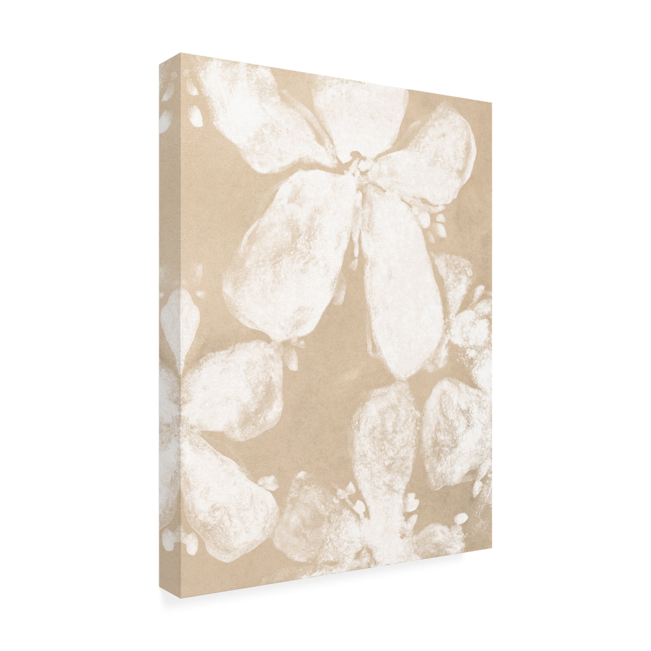 Trademark Fine Art June Erica Vess  Ghost Petal IV Canvas Wall Art