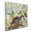 thumbnail image 3 of Trademark Fine Art "Nesting II" Canvas Art by Color Bakery, 3 of 4