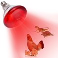 thumbnail image 1 of YEAOI Heat Lamp for Chickens Coop Brooder and Reptile Heat Bulb 150 Watt Infrared Red Light, 1 of 3