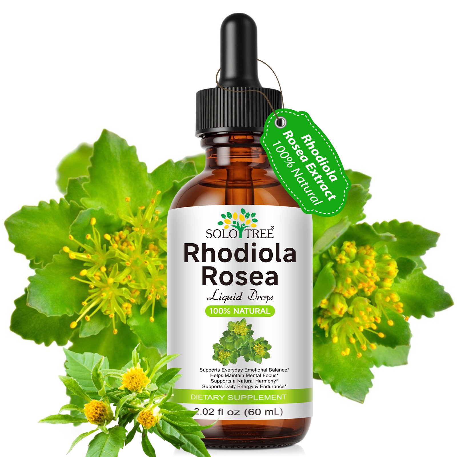Rhodiola Rosea Liquid Drops - Supports Daily Energy & Emotional Balance, Purely Natural Wild Rhodiola, 2.02 fl oz