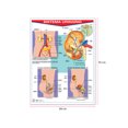 thumbnail image 2 of Póster Sistema Urinario Educatodo B-0009-I, 2 of 2