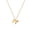 Gold Dog, variant on 18K gold-plated cat and dog pendant necklace, women's style, cute pet animal pendant necklace, waterproof and hypoallergenic jewelry gift.