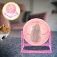 thumbnail image 5 of Pelotas de ejercicio para mascotas pequeñas Pelotas de ejercicio para hámster Ruedas para correr para hámster, 5 of 5