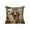 B, variant on Soft 3D Alpaca Print Pillow Cover with Hidden Zipper - Flock Fabric Decorative Cushion Case for Sofa and Living Room