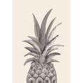 thumbnail image 3 of 1x Studio 18x24 Black Modern Framed Museum Art Print Titled - Ink Pineapple, 3 of 5