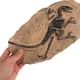 thumbnail image 2 of WORGEOUS Juego de decoraciones de fósiles de dinosaurio, espécimen de dinosaurio simulado, adorno fósil, 1 Juego, 2 of 8
