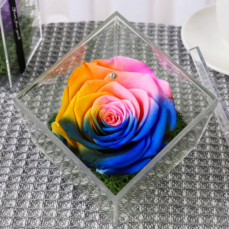 Table Décor Enchanted Real Preserved Forever Rose in Clear Acrylic Box,  Fresh-Cut Eternity Flower that Lasts Years, Valentine’s Day, Mother’s Day