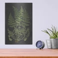 thumbnail image 4 of Luxe Metal Art 'Fern Study' by lettered & lined, Metal Wall Art, 12"x16", 4 of 9
