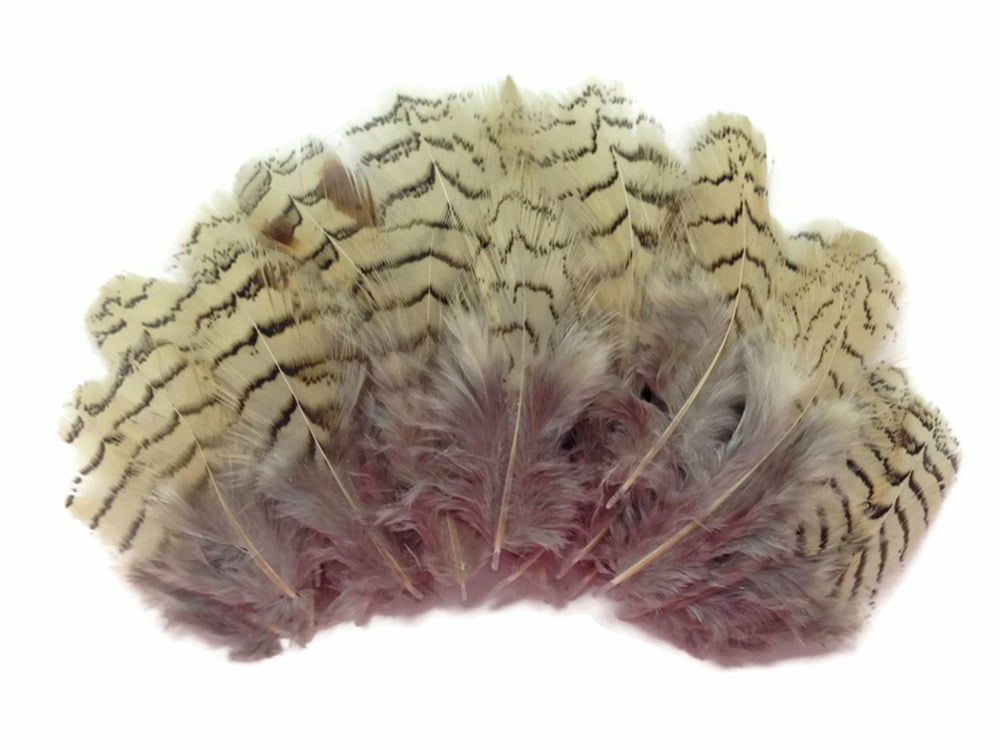 10 Pieces Natural Gray Partridge Small Plumage Feathers