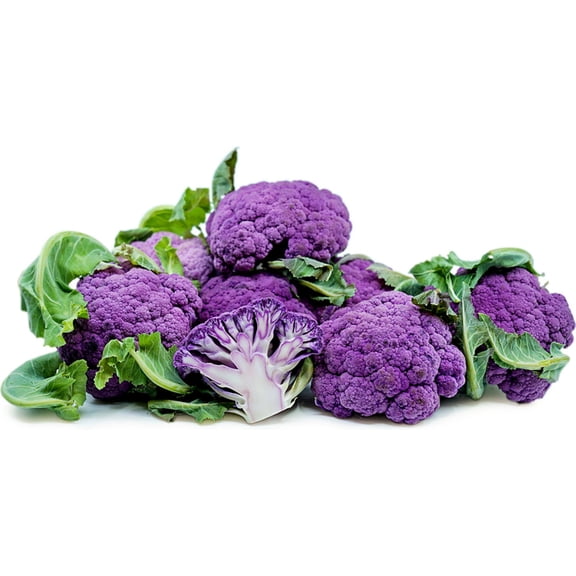 Purple Cauliflower Plant - 2.5" Pot