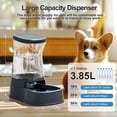 thumbnail image 2 of Dispensador automático de agua para perros Gardner Pet de acero inoxidable 3.85L, 2 of 7