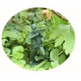 thumbnail image 4 of Plastic soldiers x 100, 4 of 4
