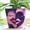 Bicolor-Purple & Pink, variant on GUGUGO Face Planters Pots with Drainage, Flower Plant Pots for Indoor Plants, Unique Funny Small Succulent Desk Vase for Plant Lover Gifts ( Bicolor-Purple & Pink, 5.5Inch)