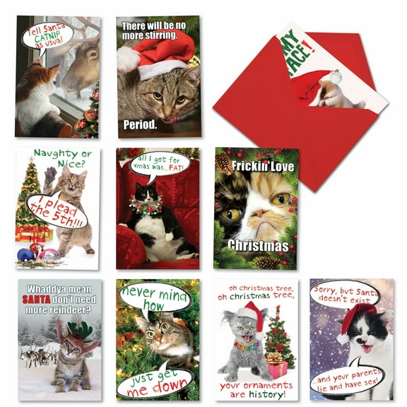 10 Pack Merry Christmas Cards With Envelopes - Cat Mass
