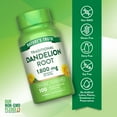 thumbnail image 3 of Dandelion Root Capsules | 1800mg | 100 Count | Non-GMO & Gluten Free Extract | by Nature's Truth, 3 of 7