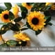 thumbnail image 2 of Luces de cadena de girasol * Girasol grande + 3 metros 30 luces Xemadio WMZY-1079, 2 of 7