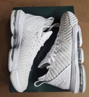 Nike ALL WHITE PROTOTYPES LeBron XVI 16 Equality BQ5969-100 Sz 11