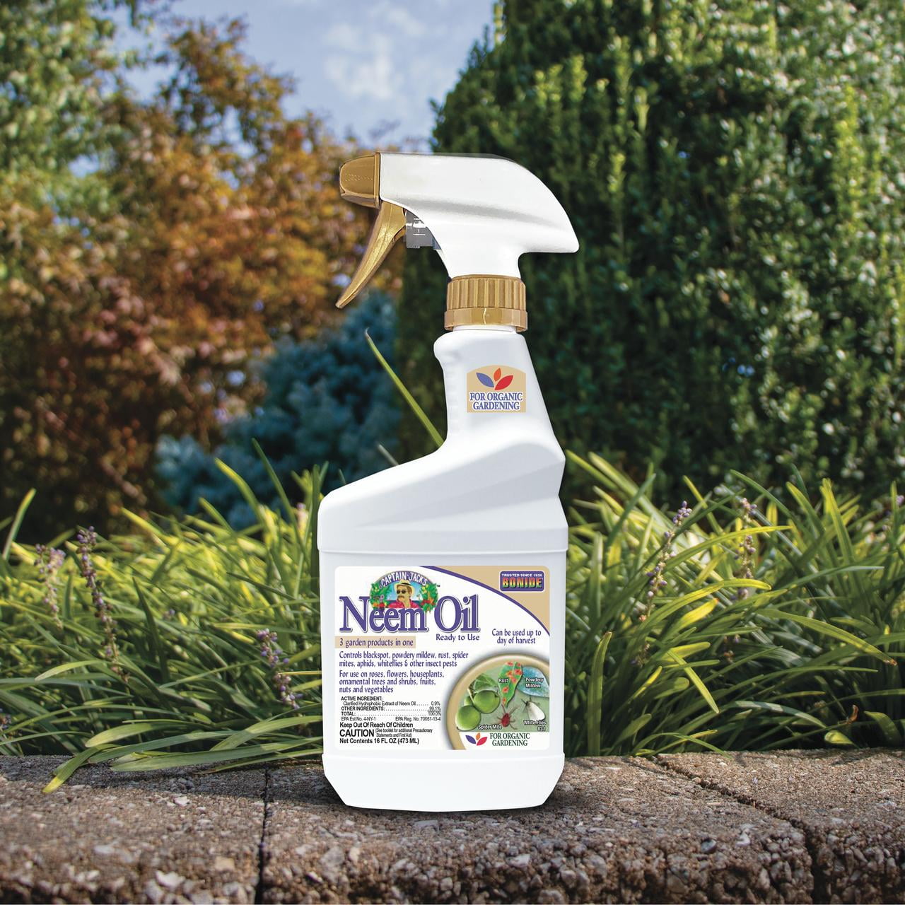 Bonide Captain Jack's 16 oz Neem Oil Ready-to-Use Spray for Insect, Fungus and Mite Control