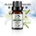 thumbnail image 4 of Recharge d'Huile Parfumée d'Aromathérapie pour Voiture 10 ml, Parfums Floraux et Fruités Longue Durée pour Hommes et Femmes, Options Multi-Parfums pour Diffusion en Voiture et à la Maison, 4 of 8