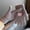 011_Grey, variant on Women's Gloves Mittens Womens Winter Knitting Cartoon Bear Gloves With Fleece Five Fingers And Minute Finger Warm Gloves, Women's Accessories Gloves Mittens