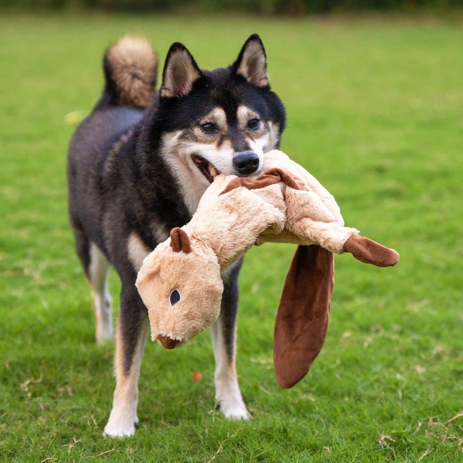 Best Pet Supplies 4-in-1 Stuffless Squeaky Dog Toys with Soft, Durable Fabric for Small, Medium, and Large Pets, No Stuffing for Indoor Play, Holds A Plastic Bottle - 4 Figures, Large