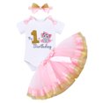thumbnail image 3 of IBTOM CASTLE Baby Girl Cake Smash 1st Birthday Elephant Onesie Party Outfit Princess Romper+Tutu Skirt+Headband Photo Props Clothes 1 Year Pink, 3 of 9