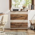 thumbnail image 2 of Tribesigns 2-Drawer File Cabinet, Lateral Modern Filing Cabinet for A4/Letter,  Printer Stand with Storage Drawer for Home Office, 2 of 5