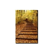 Trademark Fine Art "Fall Stairway" Canvas Art by Kurt Shaffer