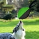 thumbnail image 1 of Pelota de arrastre para perros, juguetes interactivos de enriquecimiento, resistente al desgarro, para entrenamiento de mordeduras, juguete para Negro Verde, 1 of 10